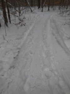 10612592_10203640254873497_7462287442372274896_n