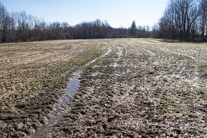 16005-007Observatory Park